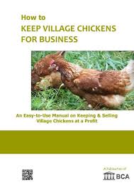 Village Chicken business in zambia