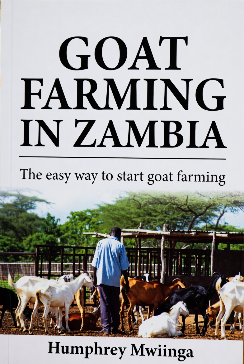 Goat Farming in Zambia: The easy way to start Goat farming